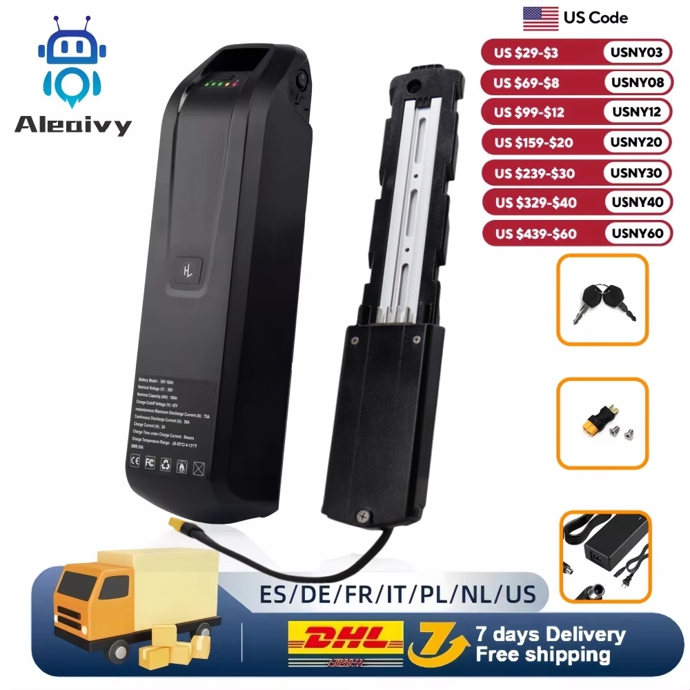 Ebike Battery 48V 20Ah Hailong - Nouvelle batterie Hailong pour vélo électrique